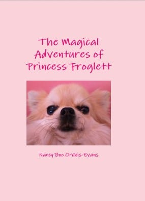 The Magical Adventures of Princess Froglett