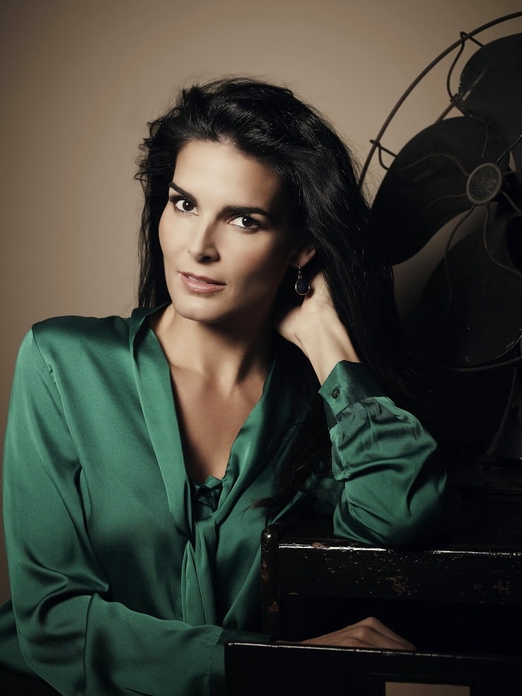 Angie Harmon Picture