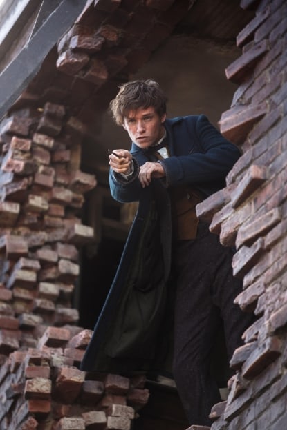 Newt Scamander