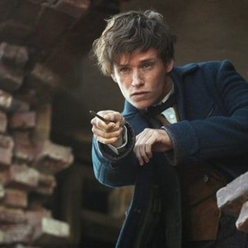 Newt Scamander