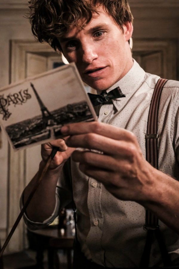 Newt Scamander