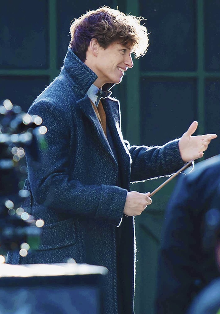 Newt Scamander