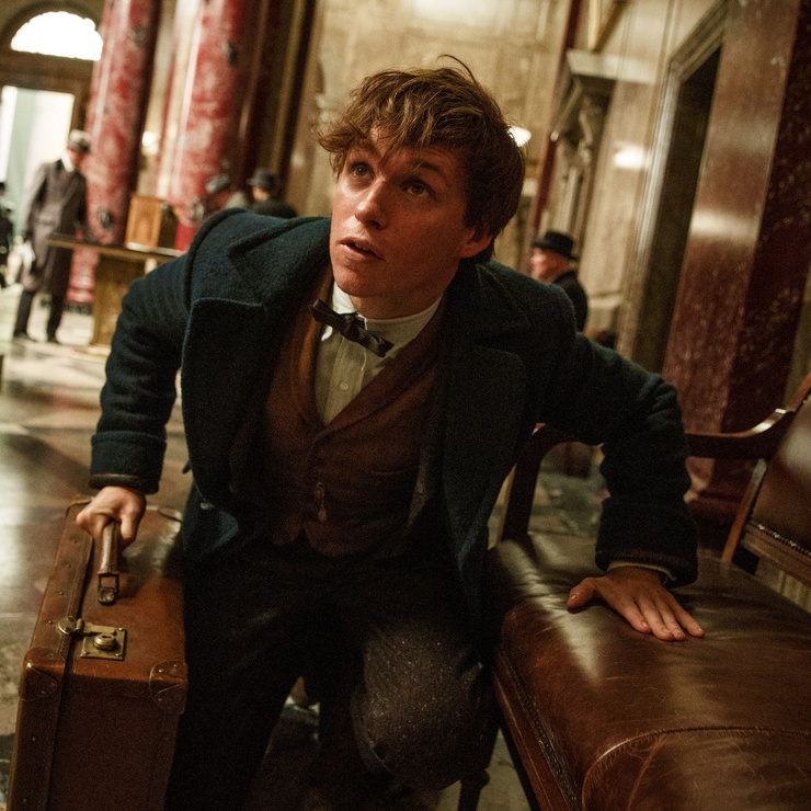 Newt Scamander