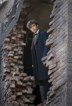 Newt Scamander