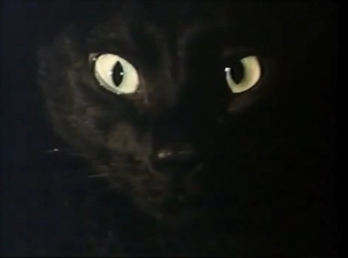 The Cat Creature (1973)