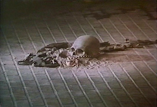 The Cat Creature (1973)