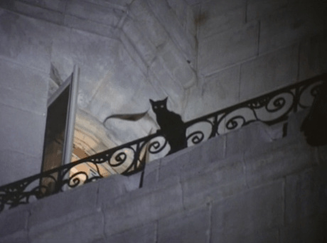 The Cat Creature (1973) The Cat Creature (1973)