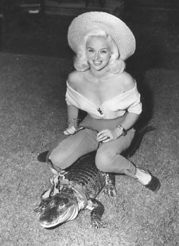An Alligator Named Daisy An Alligator Named Daisy