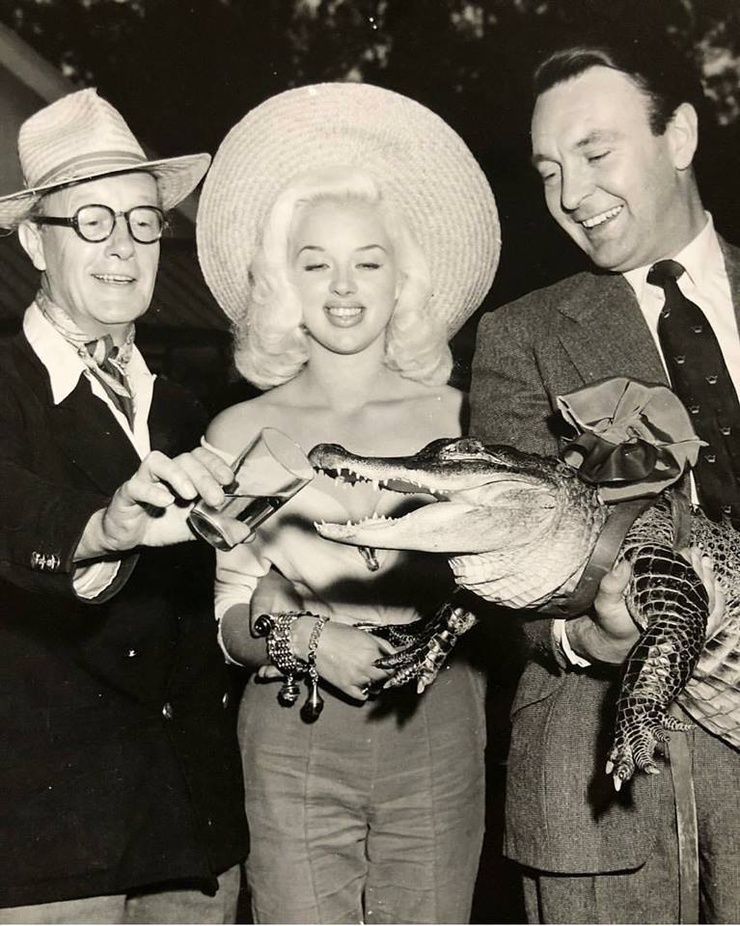 An Alligator Named Daisy An Alligator Named Daisy