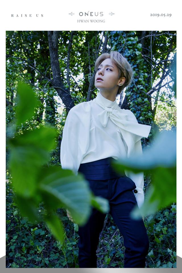 Hwanwoong