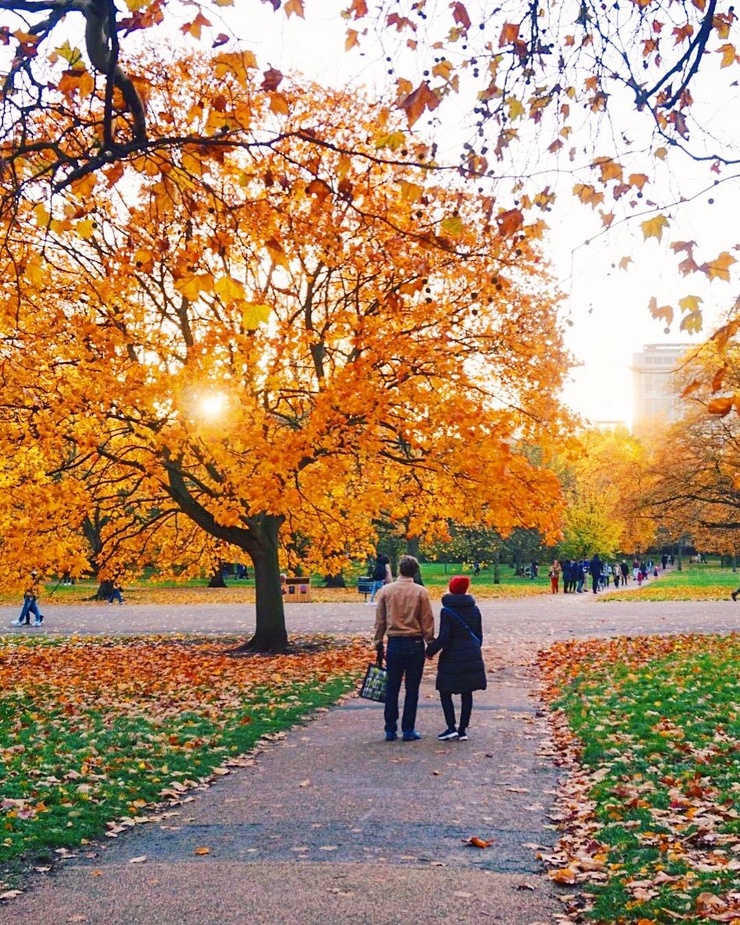 Autumn