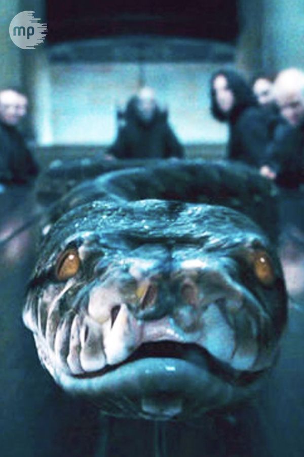 Nagini