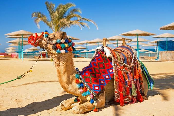 Egypt