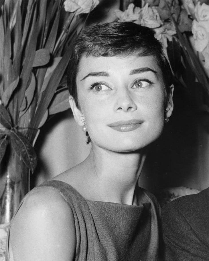 Picture of Audrey Hepburn