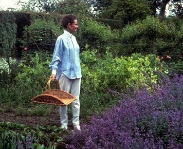 Audrey Hepburn