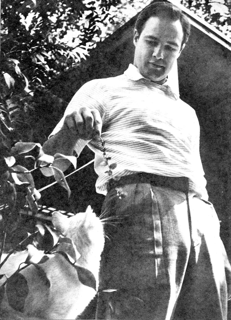 Marlon Brando