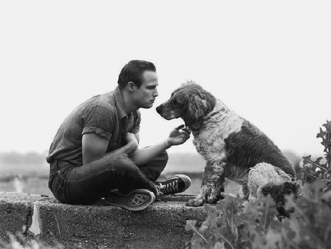 Marlon Brando Marlon Brando