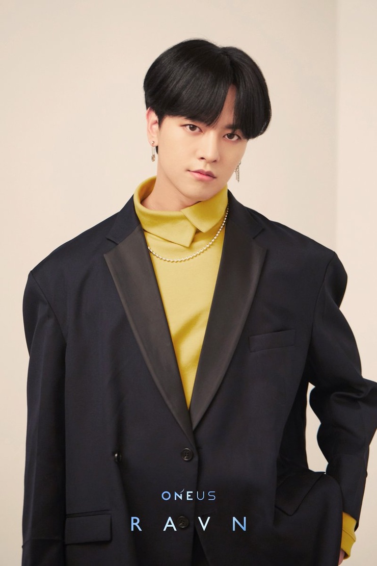 Ravn Ravn