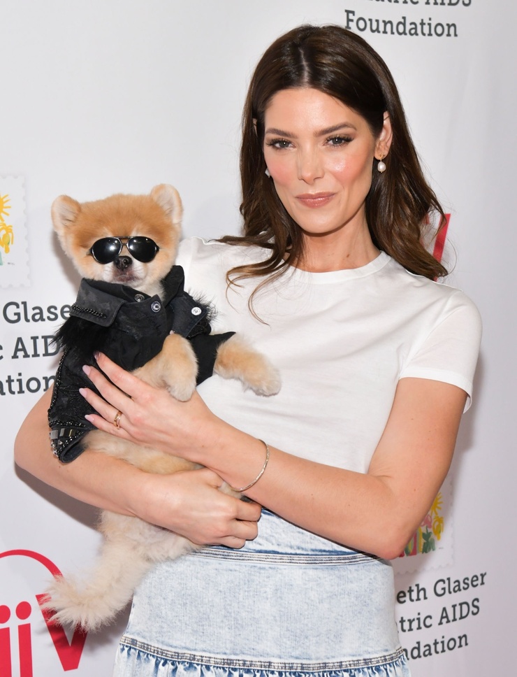 Ashley Greene Ashley Greene