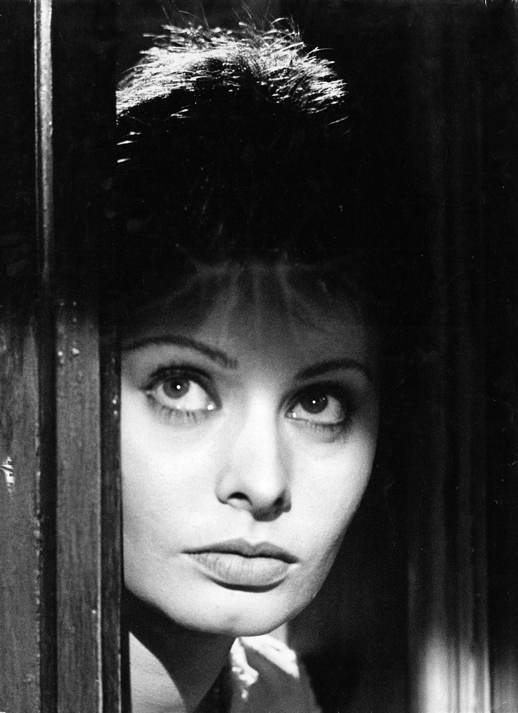 Sophia Loren Sophia Loren