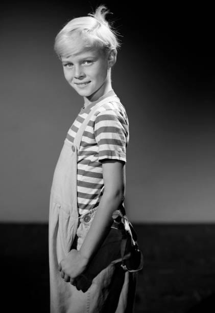 Dennis the Menace                                  (1959-1963)