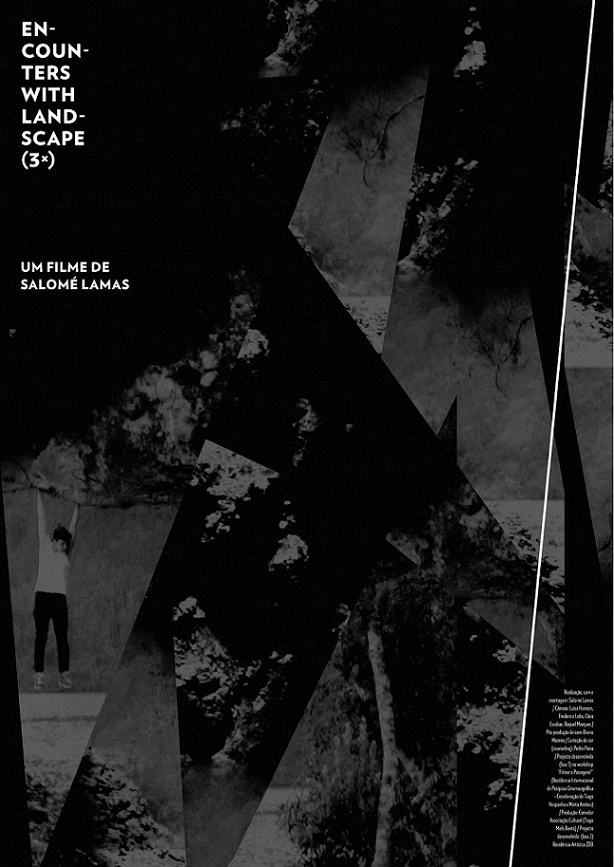 Encounters with Landscape (3x)