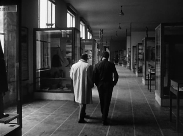 Chronicle of a Summer (1961) Chronicle of a Summer (1961)