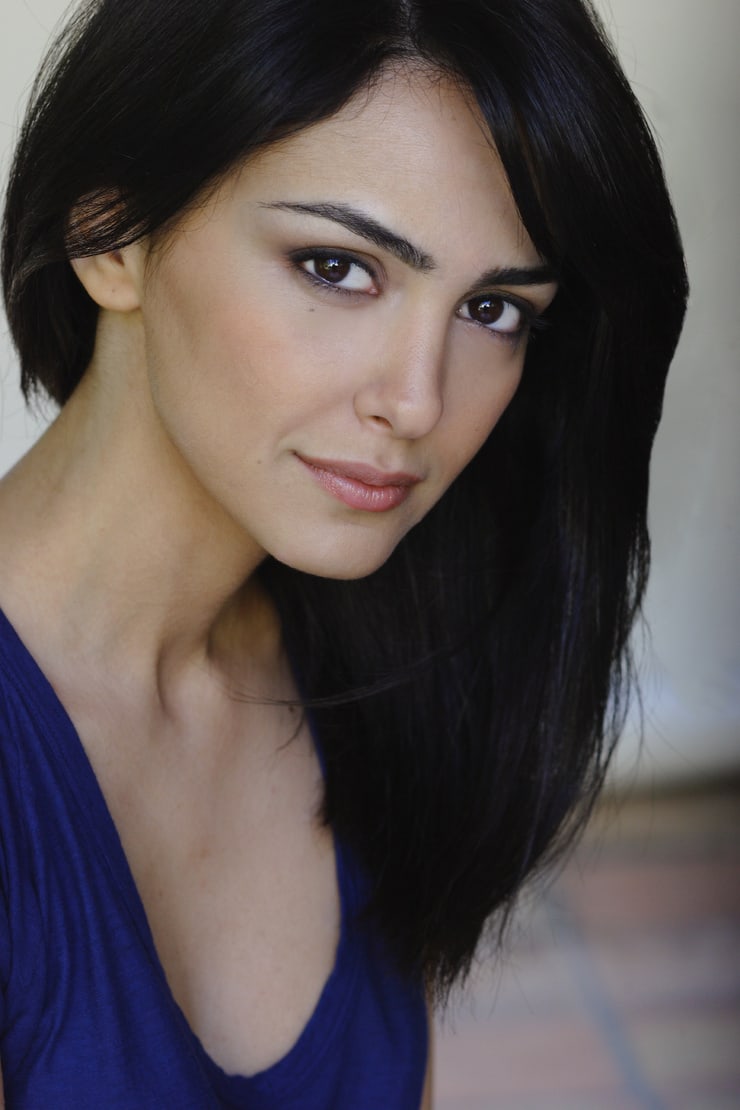 740full Nazanin Boniadi 