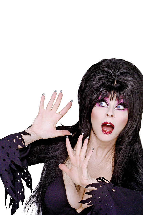 Elvira: The Shape of Elvira Elvira: The Shape of Elvira