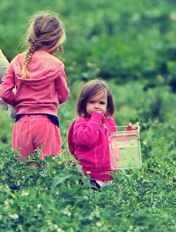Violet Affleck