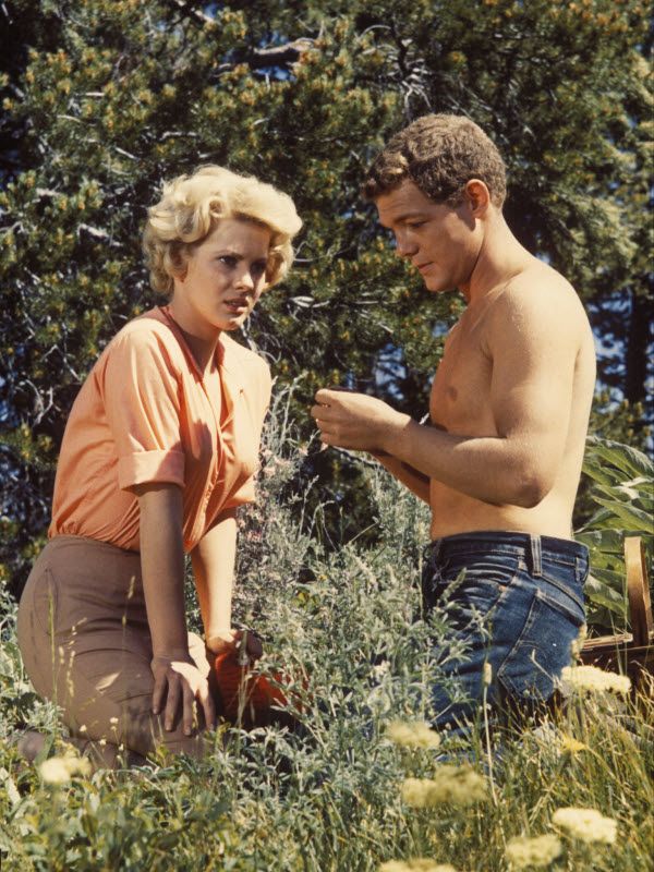 Spencer's Mountain (1963)