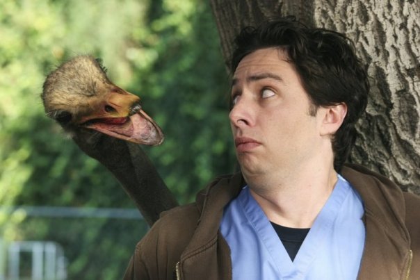 Scrubs Scrubs