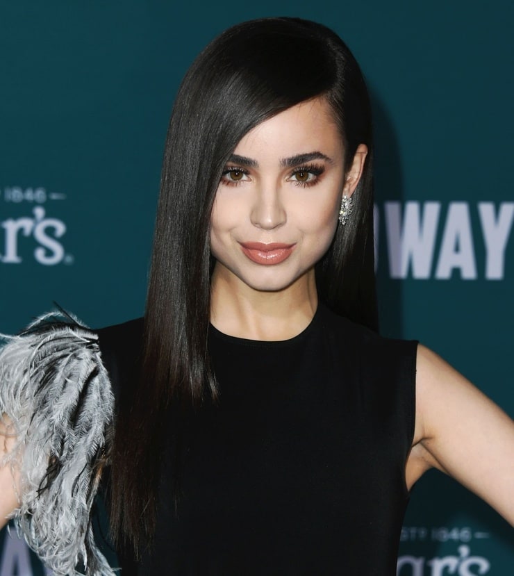 Sofia Carson image