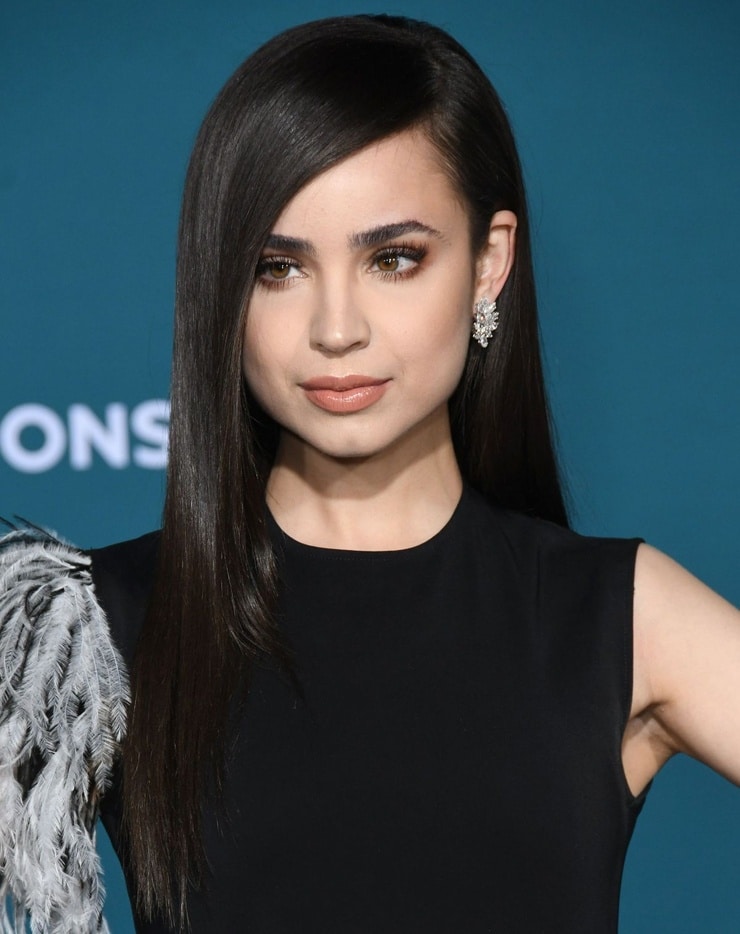 Sofia Carson image