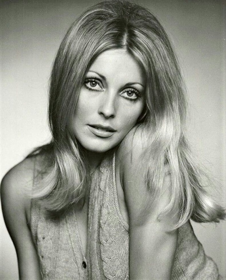 Picture of Sharon Tate