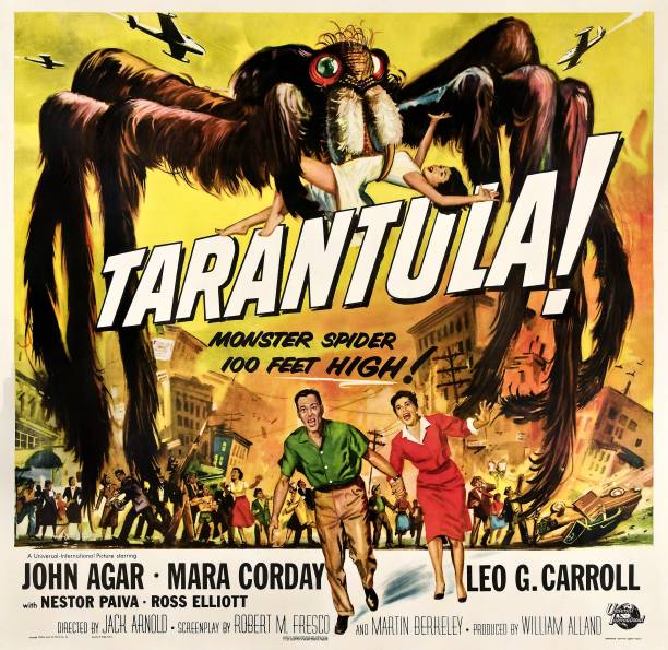 Tarantula Tarantula