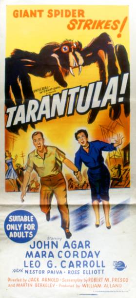 Tarantula Tarantula