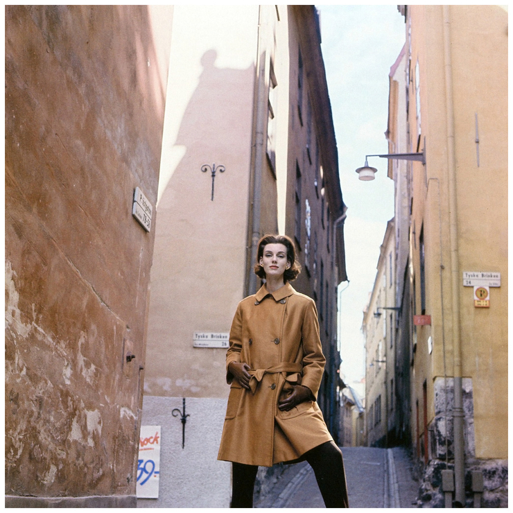 Judy Dent