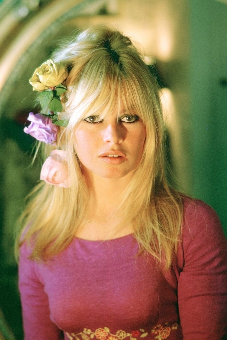 Picture of Brigitte Bardot