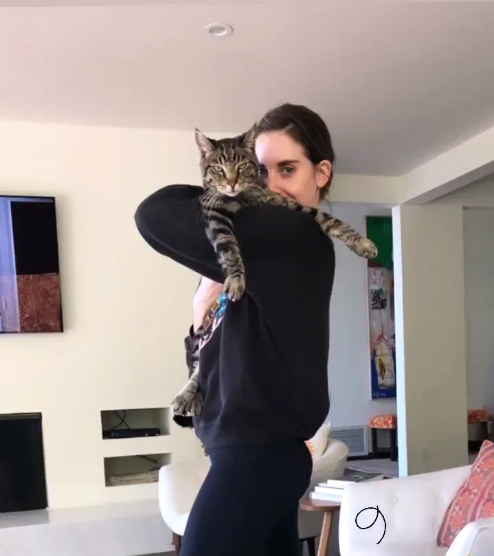 Alison Brie