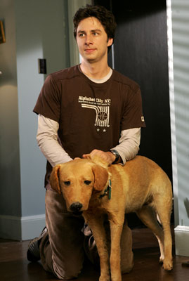 Scrubs