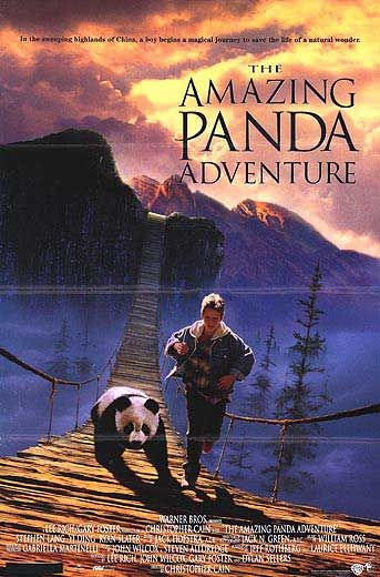 The Amazing Panda Adventure