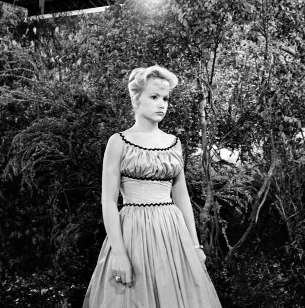 The Many Loves of Dobie Gillis The Many Loves of Dobie Gillis