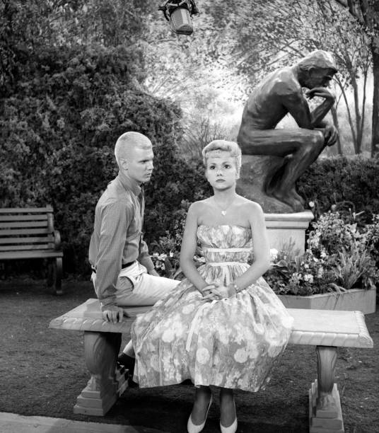 The Many Loves of Dobie Gillis The Many Loves of Dobie Gillis