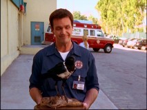 Scrubs