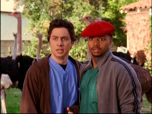 Scrubs
