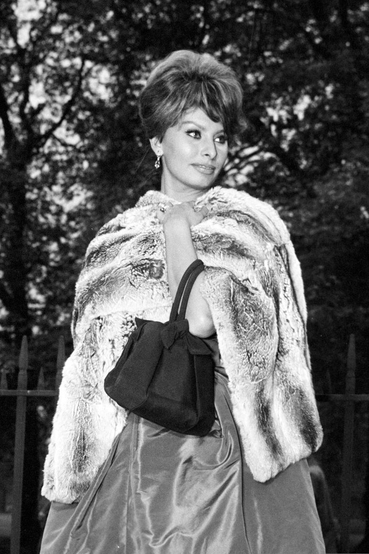 Sophia Loren Sophia Loren