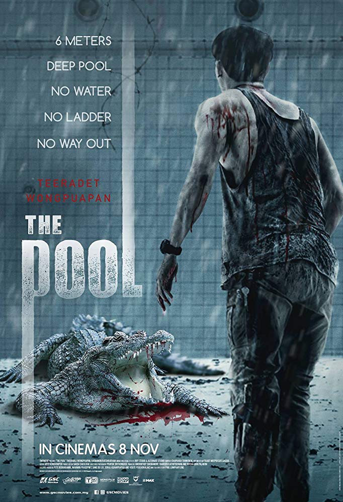 The Pool