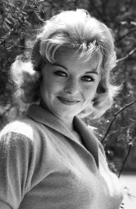Donna Lynn