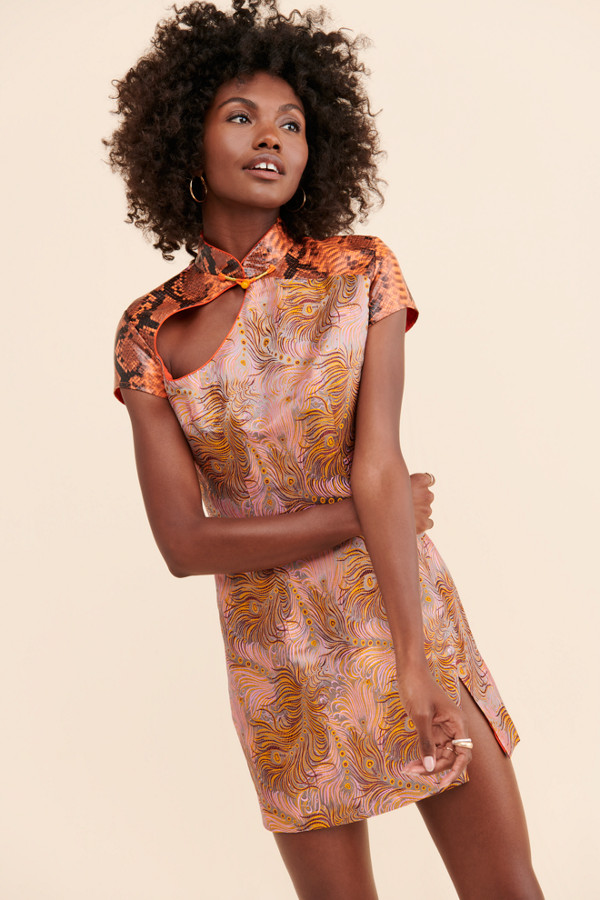 Milan Dixon